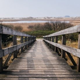 Pathway to Nature