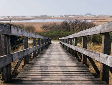 Pathway to Nature